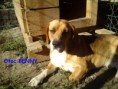 /album/rodicia/otec-benny-4-jpg/